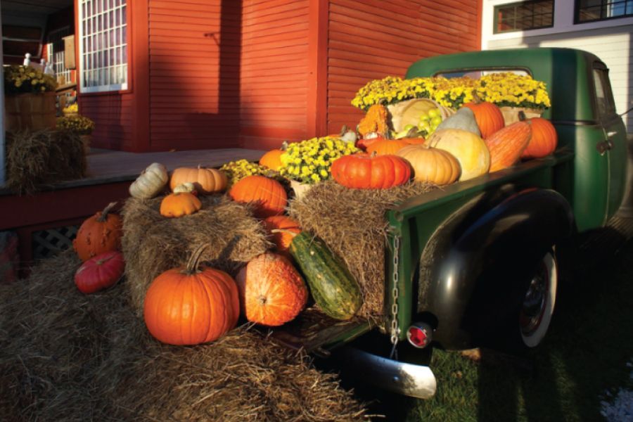 Decorating for Fall