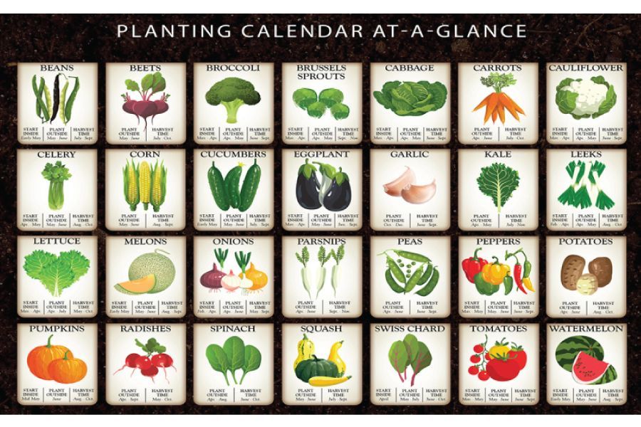 Gerten's Veggie & Fruit Planting Calendar