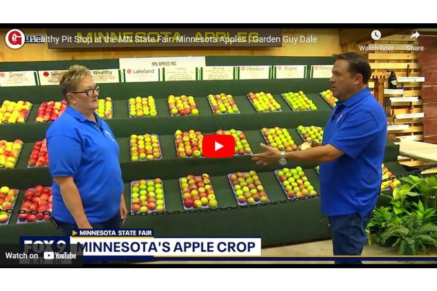 VIDEO: A Healthy Pit Stop at the MN State Fair: Minnesota Apples