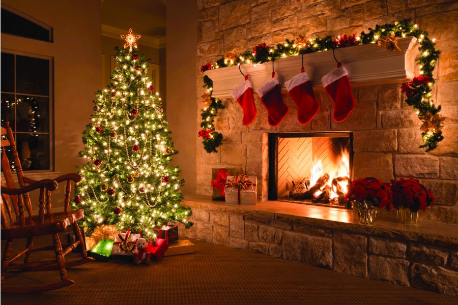 Christmas Tree Fun Facts and Trivia