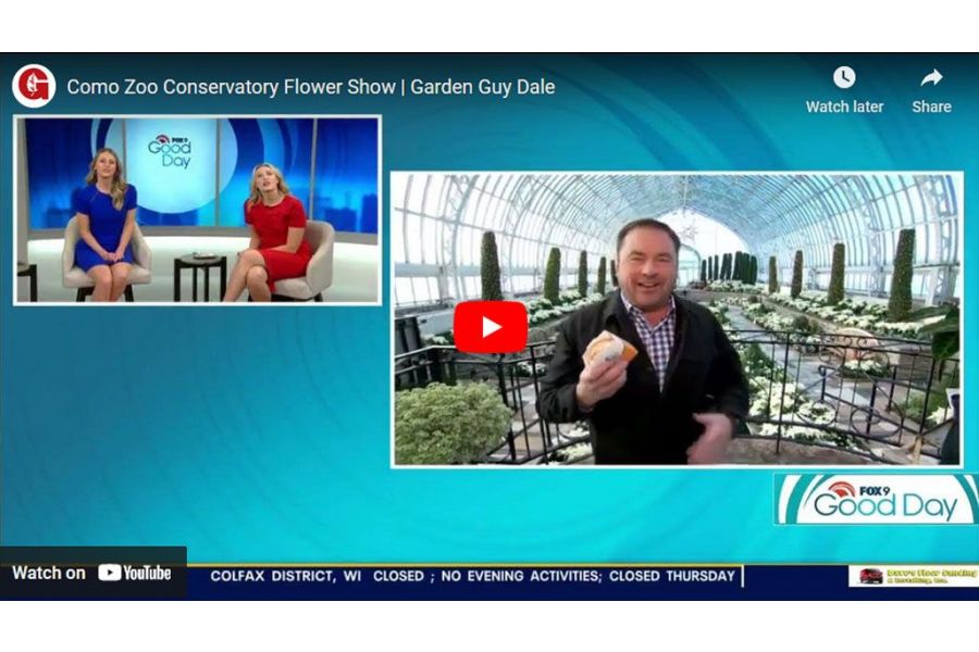 VIDEO: Como Zoo Conservatory Flower Show | Garden Guy Dale