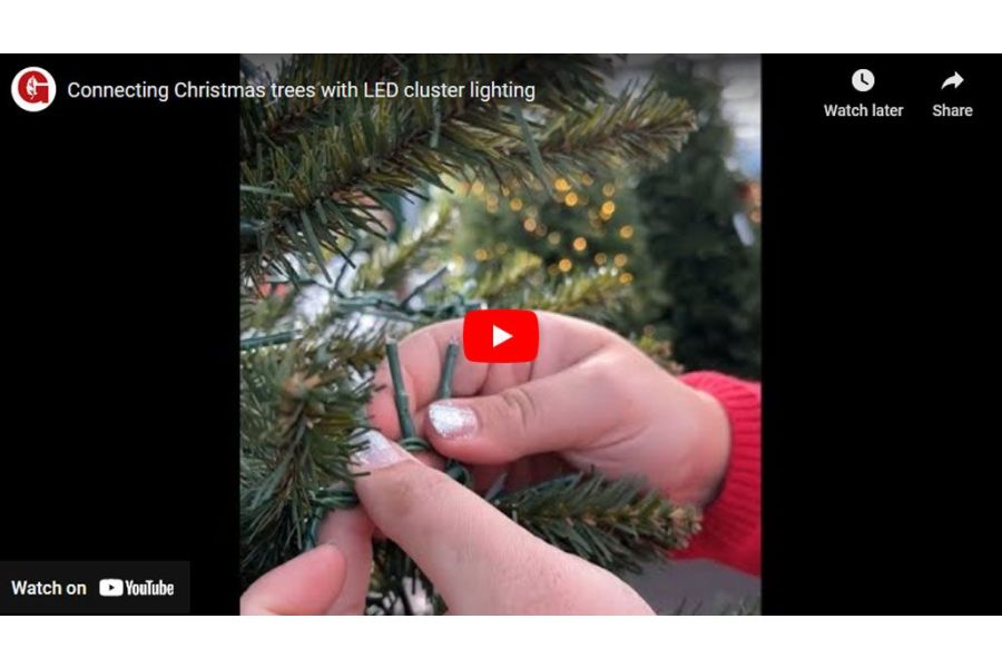 VIDEO: Connecting Christmas Trees With LED Cluster Lighting