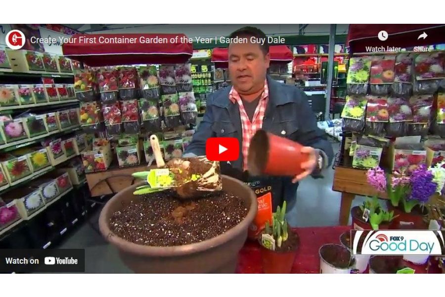 VIDEO: Create Your First Container Garden of the Year | Garden Guy Dale