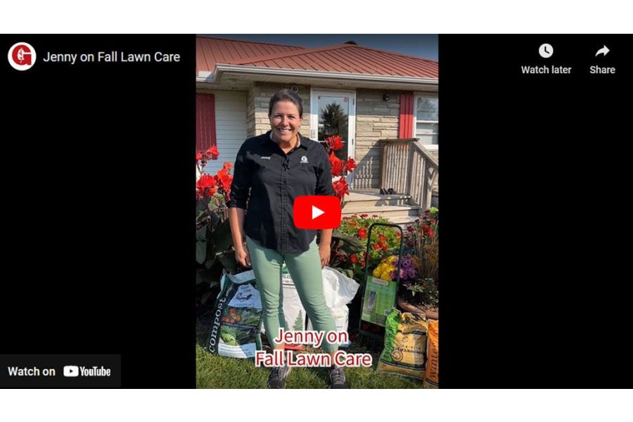 VIDEO: Jenny on Fall Lawn Care