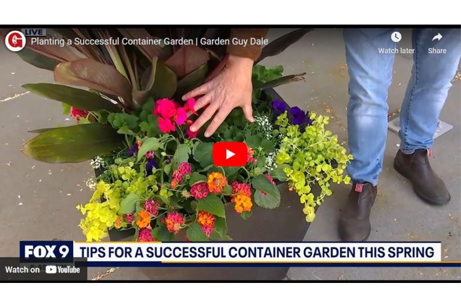 VIDEO: Planting a Successful Container Garden | Garden Guy Dale