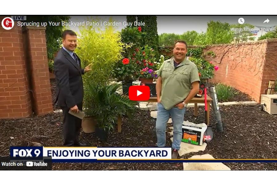 VIDEO: Sprucing up Your Backyard Patio | Garden Guy Dale