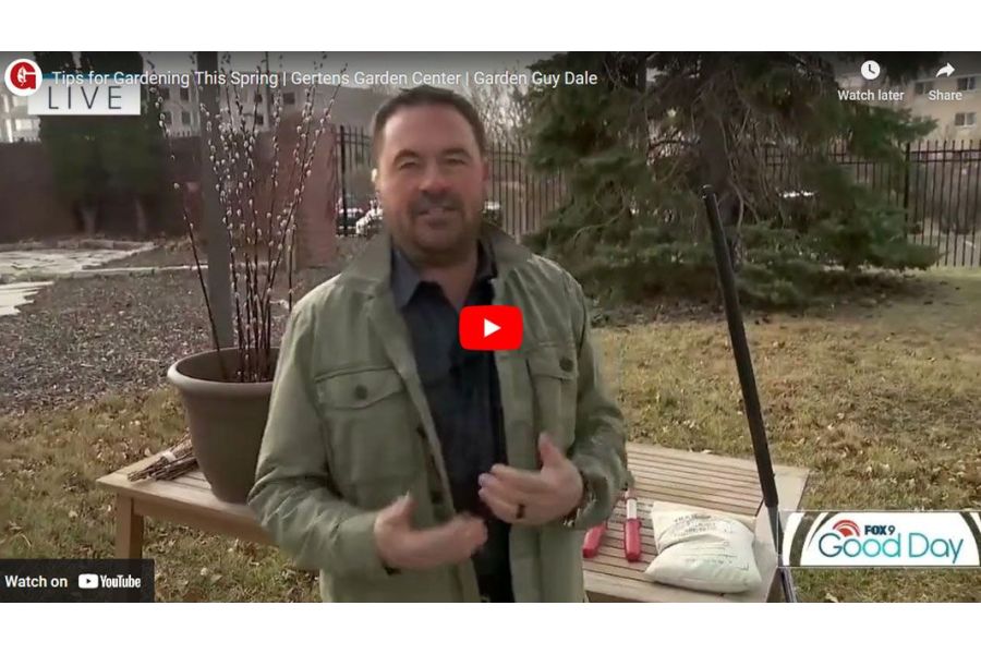 VIDEO: Tips for Gardening This Spring | Garden Guy Dale