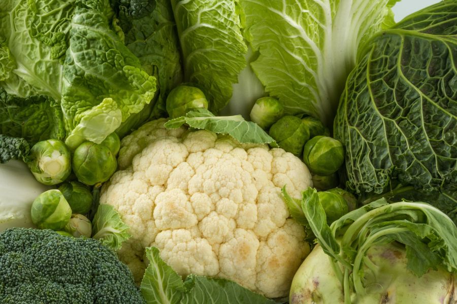 Cole Crop Quick Facts – Cold-Season Vegetables