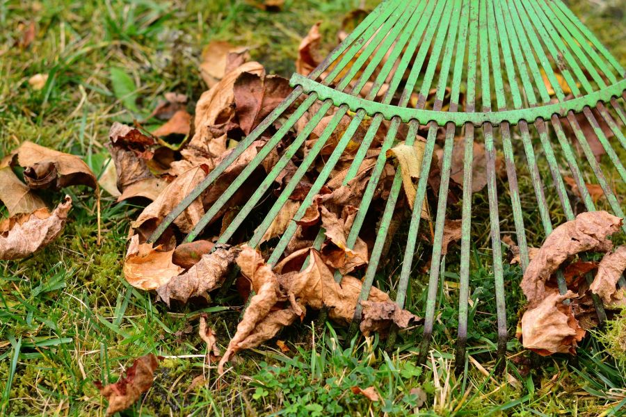 Recycling Leaves as Compost and Garden Mulch