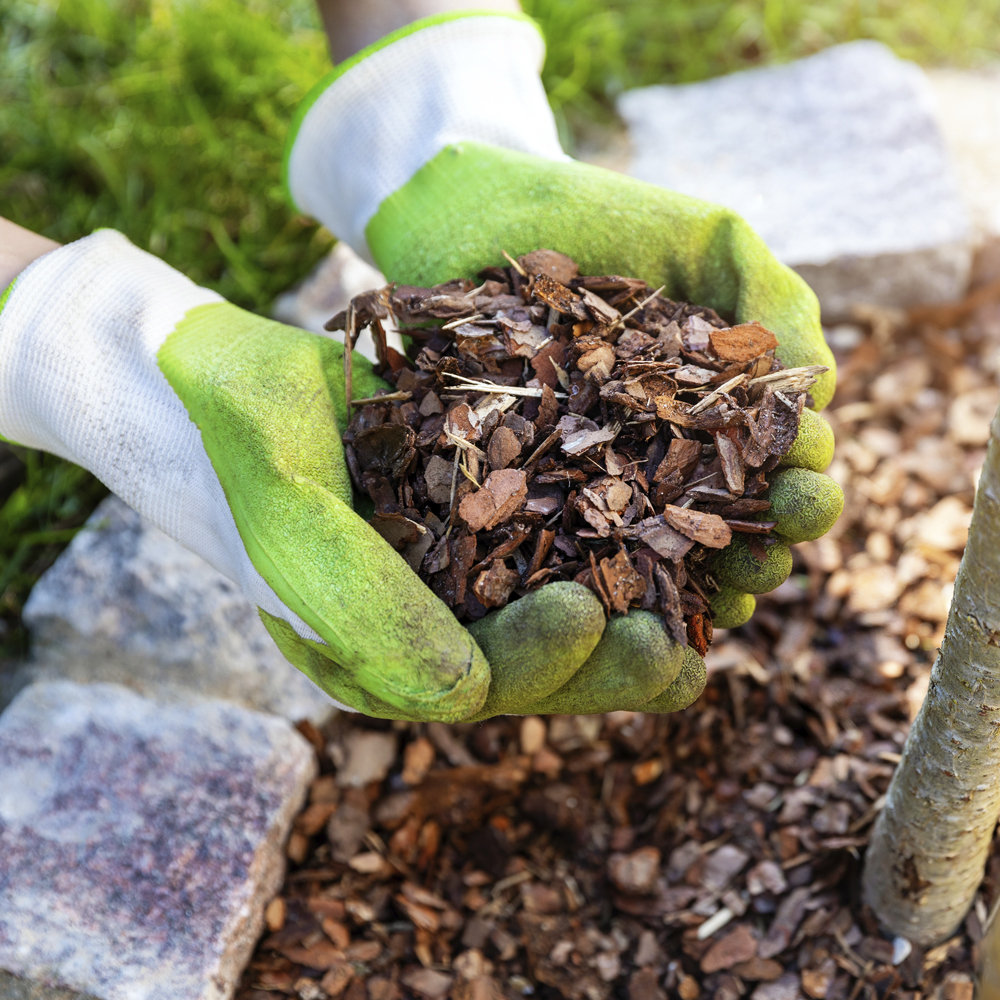 Bulk Mulch Delivery