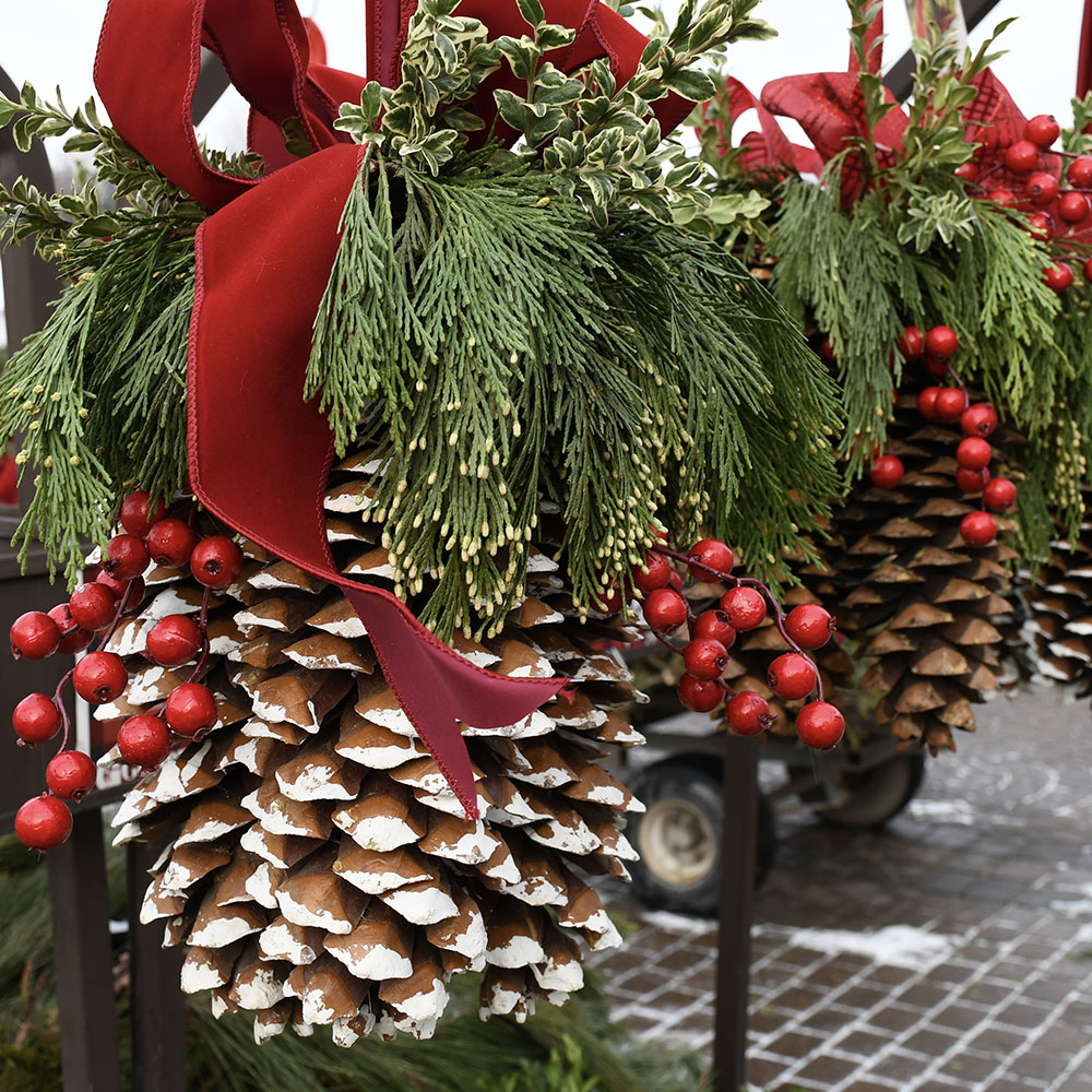 Holiday Hanging Baskets