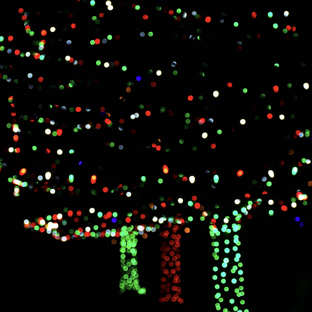 Christmas Light Store