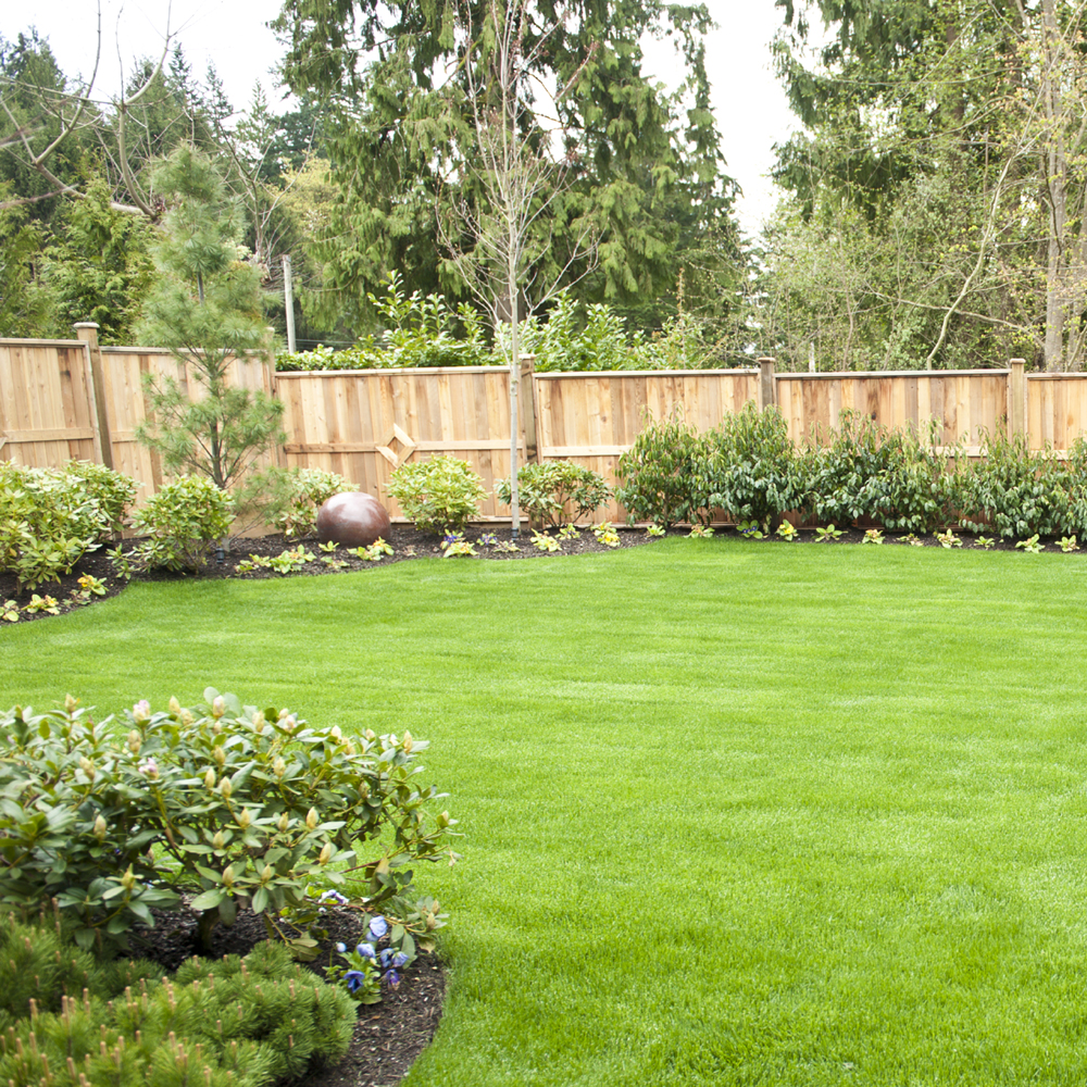 Garden Edging and Fencing