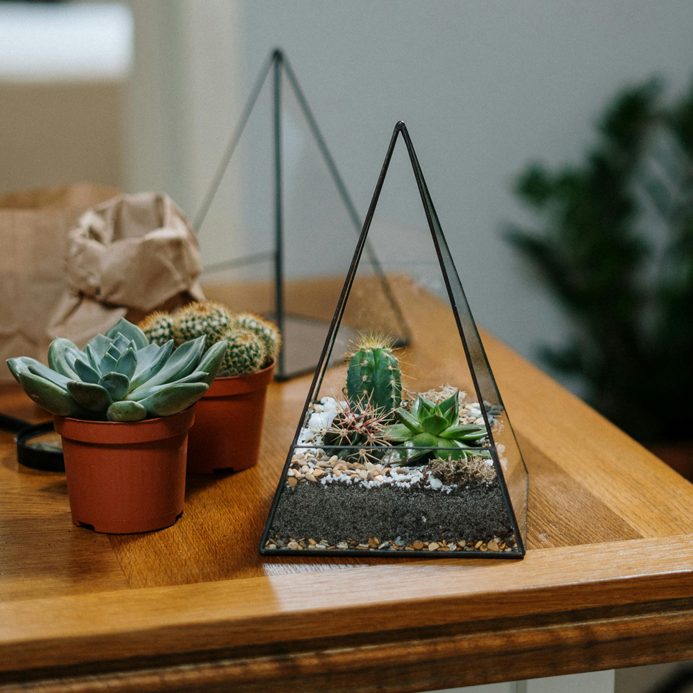 Terrariums