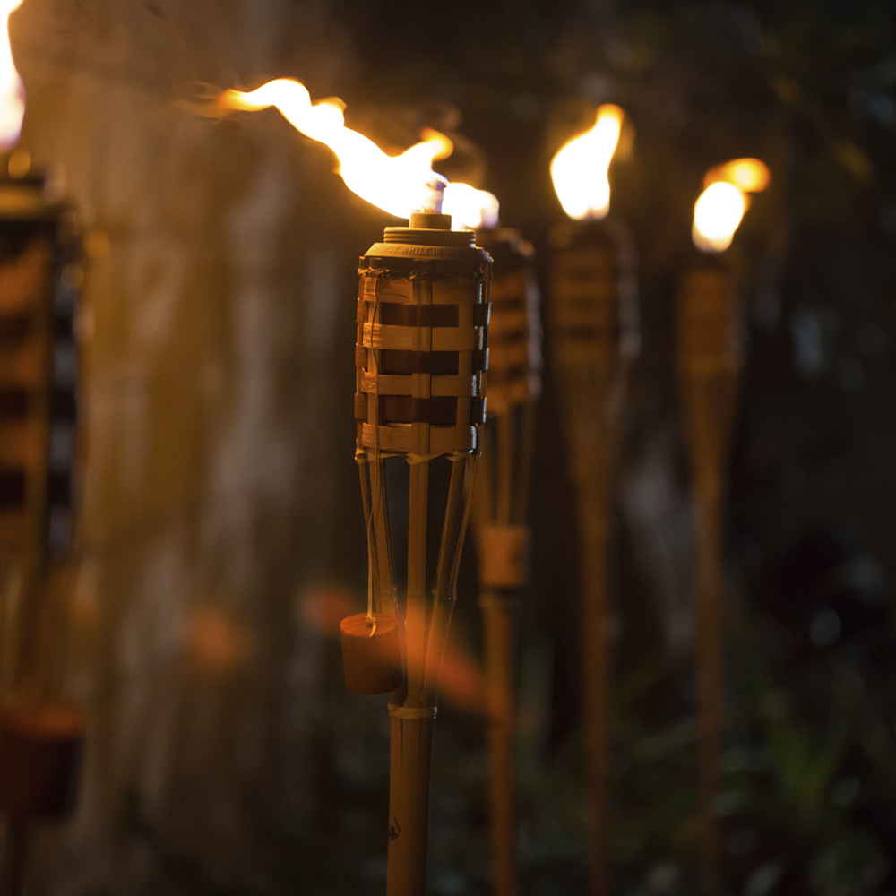 Citronella Candles & Torches