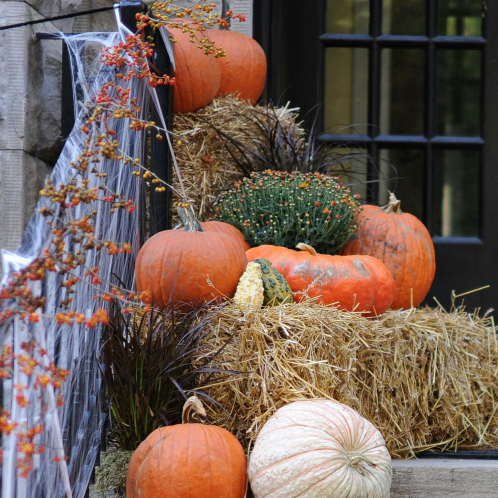 Halloween Yard Decor