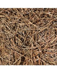 Pine Straw Mulch - by the Bag, Delivery