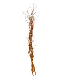 Twigs, Curly Willow Tips, Medium 