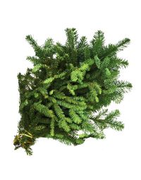 Boughs, Fir 'Noble Fir'