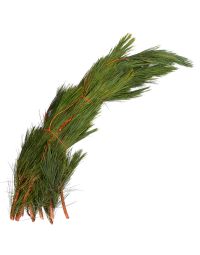 Boughs, Pine 'Red Pine' Large