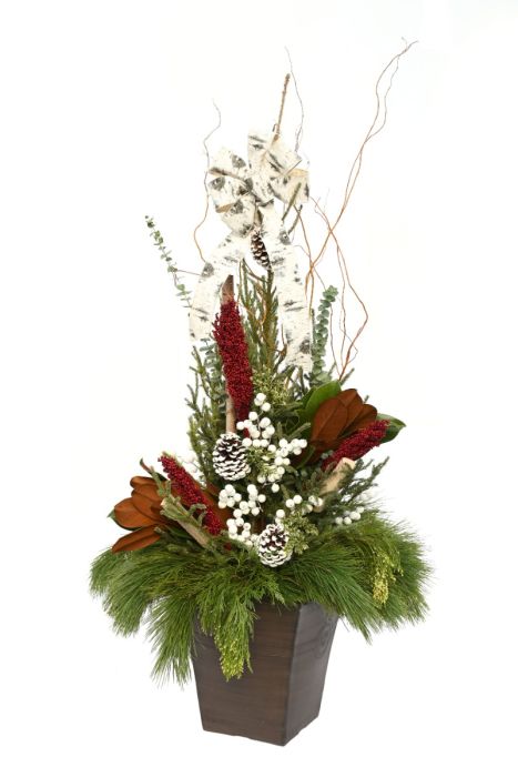 Grande Entrance | White Accents - Spruce Tip Container | Gertens Garden ...