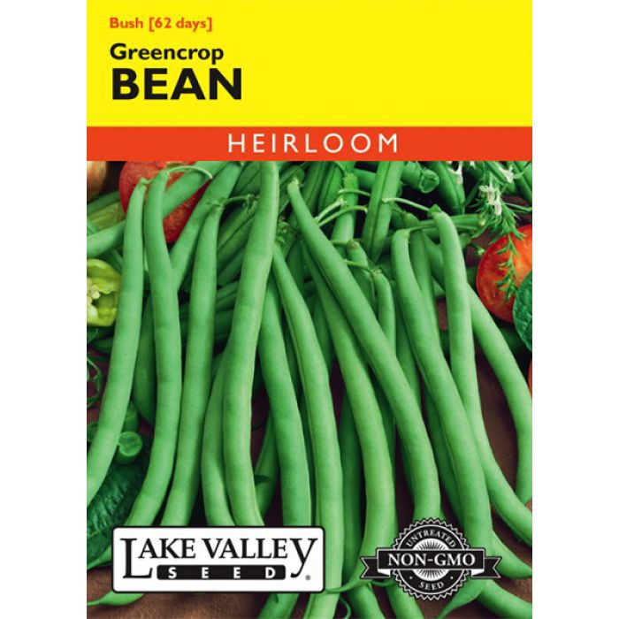 Bean (Bush) Greencrop Heirloom | Gertens Garden Center