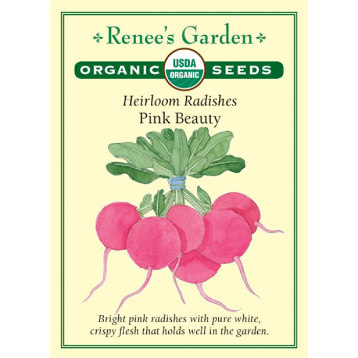 Renee's Garden, Radish, Heirloom Radishes Pink Beauty, ~ 327 seeds ...