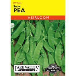 Pea Snow Heirloom - Lake Valley Seeds | Gertens Garden Center