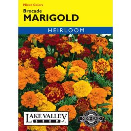 Marigold Brocade Mixed Colors Heirloom - Lake Valley Seed | Gertens ...