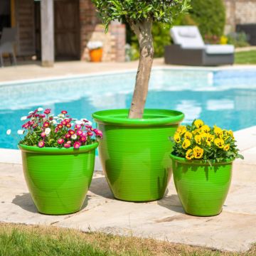 Sunshine Ceramica, Pollencia Planter, Green