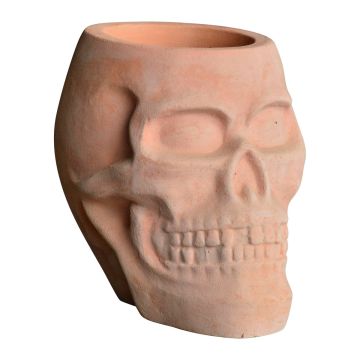 Border Concepts, Terra Cotta Skull Planter