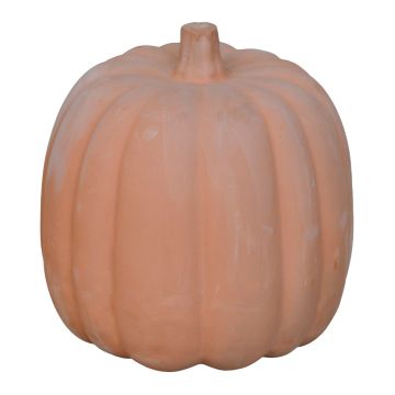 Border Concepts, Terra Cotta Pumpkin