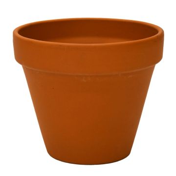 Border Concepts, German Standard Pot, Terracotta