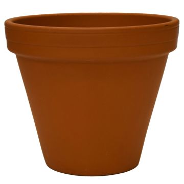 Border Concepts, Flower Pot BLT, Natural, 6.6"