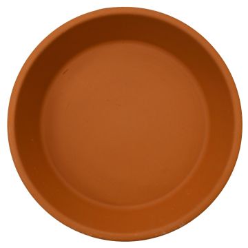 Border Concepts, Waterproof Terra Cotta Saucer, Terra Cotta