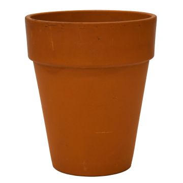 Border Concepts, German Tall Standard Pot, Terracotta