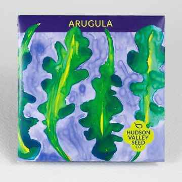 Eruca, Arugula ~ 500 seeds