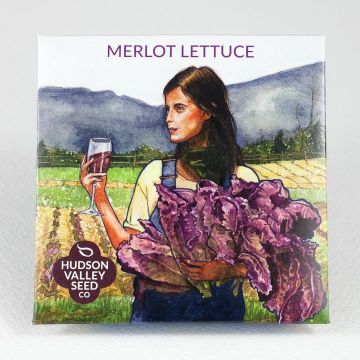 Lactuca, Lettuce, Merlot Lettuce