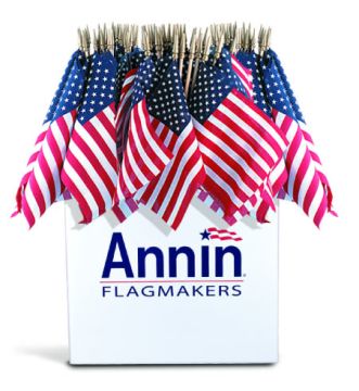 Annin US Hand Flag, 8"x12"