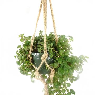 Primitive Planters, Natural Knotted Rope Hanger, 36"