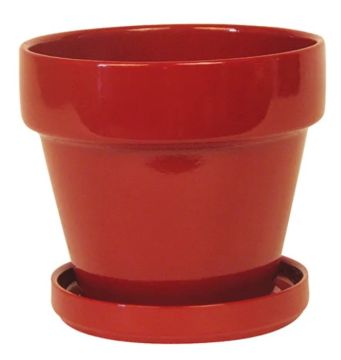 Border Concepts, Standard Indoor Pot with Attached Saucer, Paprika, 4.5"