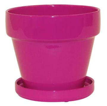 Border Concepts, Standard Indoor Pot with Attached Saucer, Pink, 4.5"