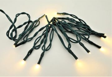 Tremont Floral, 20 LED Teeny Electric Lights with Green Cord and Warm White Bulbs