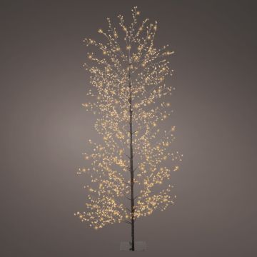 Lumineo, LED Micro Tree, Black & Classic Warm, 70"