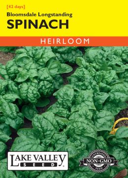 Spinacia, Spinach, Bloomsdale Longstanding Spinach, 4g