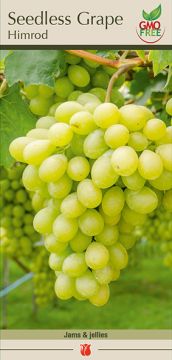 Grape, Seedless Grape, Himrod, 1 Pack