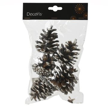 Lumineo Frosted Pinecones, Indoor, 5pk