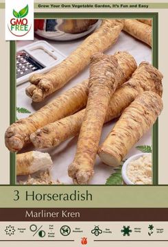 Horseradish, Marliner Kren, 3 Pack