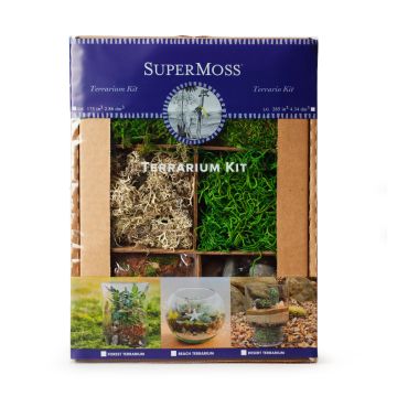 Terrarium Kit Forest, 4 oz.