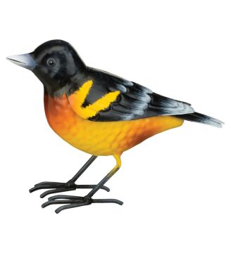 Regal Art & Gift, Bird Decor Oriole